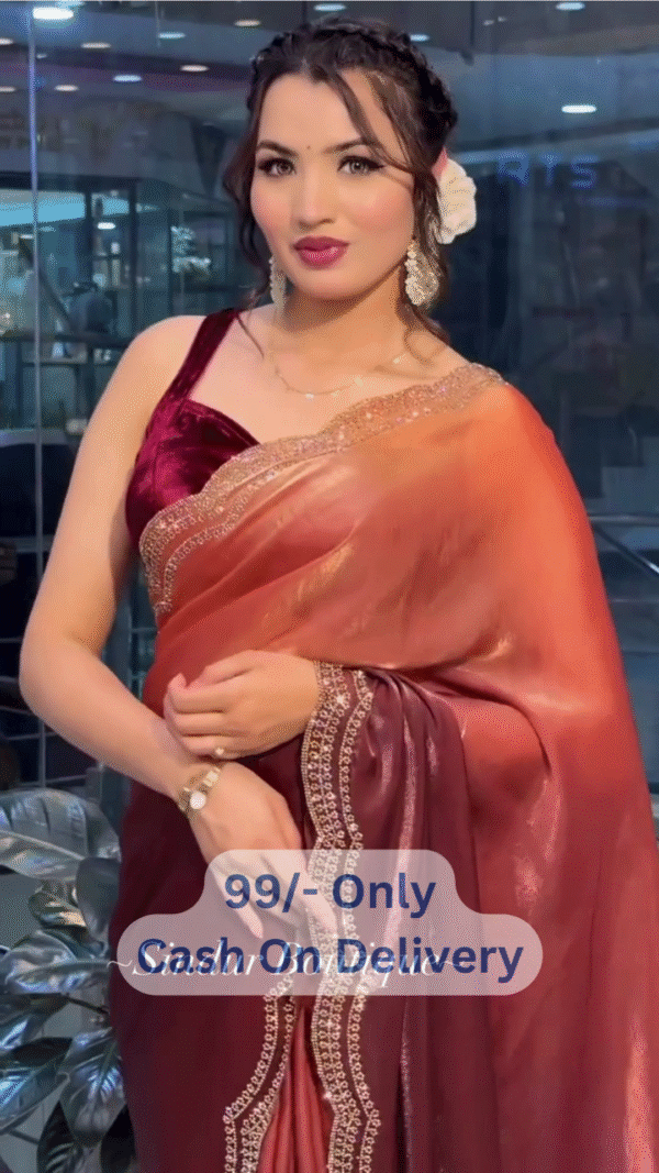 ✨ Designer Two-Tone Saree with Elegant Handwork Lace Border - Image 4